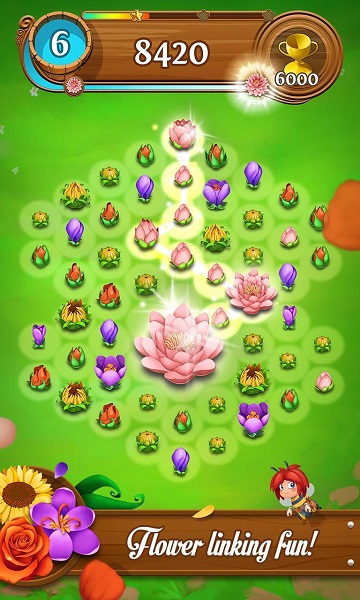 绽放花朵传奇