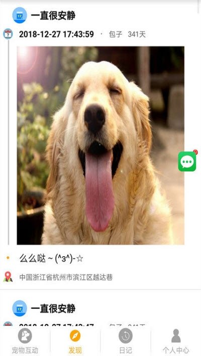 宠物的日记