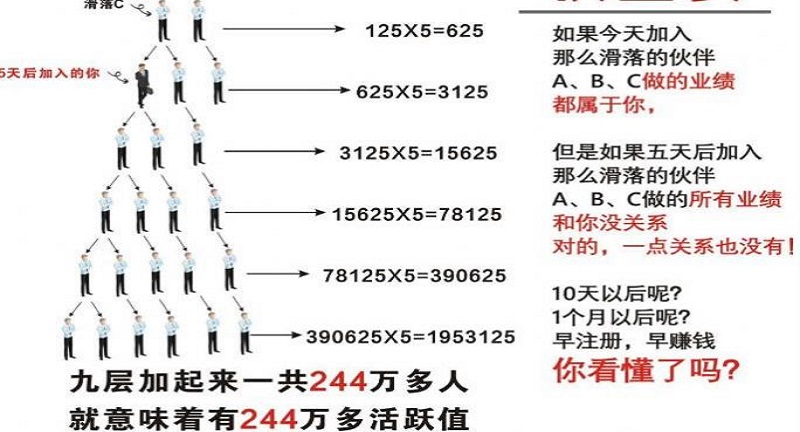 闪店联盟