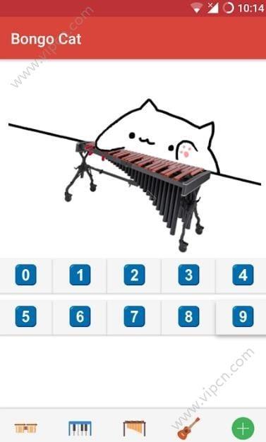演奏乐器的猫