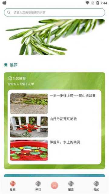 养花伴