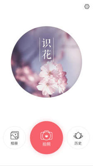 识花君app