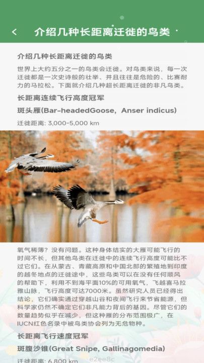 缤纷视界