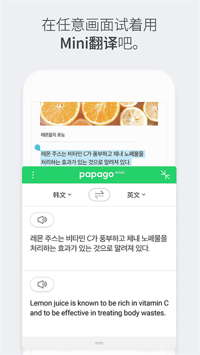 papago韩语翻译