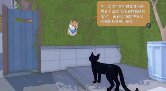 小猫咪大城市完整版