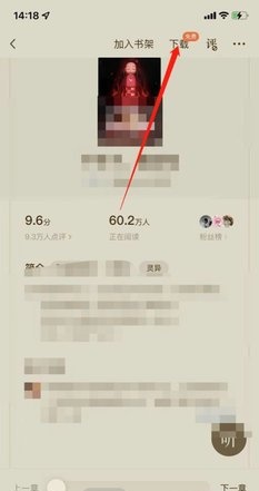 桃色小说