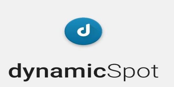 dynamicspo