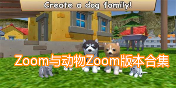 Zoom与动物Zoo