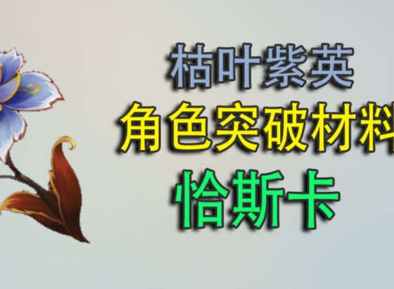 原神枯叶紫英采集攻略 恰斯卡突破材料采集路线分享