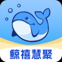 鲸禧慧聚