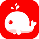 北极海新闻