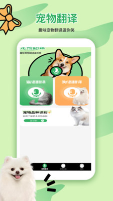 猫狗翻译器免费